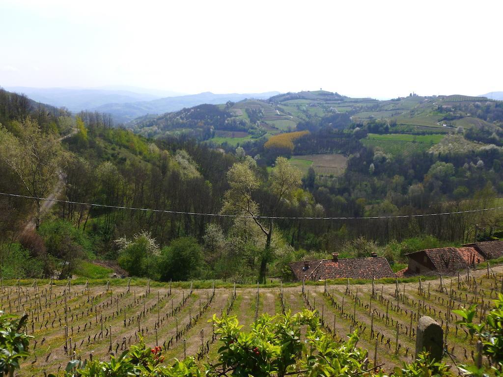 Bed And Breakfast Val D'Oche Castel Boglione Kültér fotó